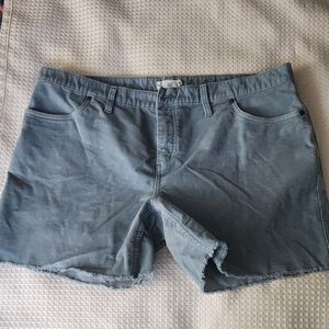 Carve Designs Sky Blue Shorts